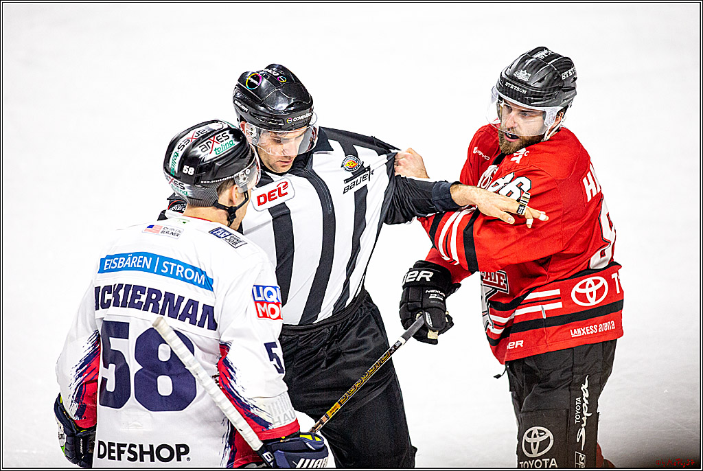 DEL;  Koelner Haie - Eisbaeren Berlin; Koeln, 12.01.2020